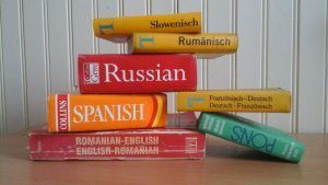 diccionario language