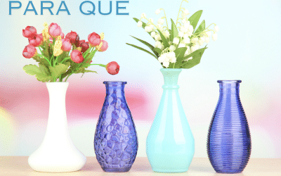 Uso de «para que» en español